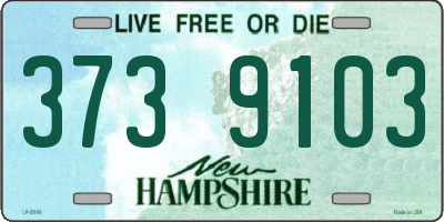 NH license plate 3739103
