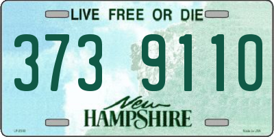 NH license plate 3739110