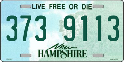 NH license plate 3739113