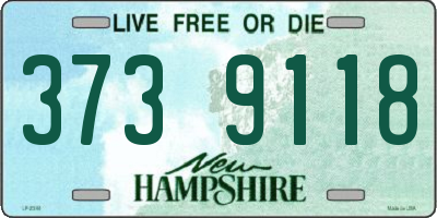NH license plate 3739118