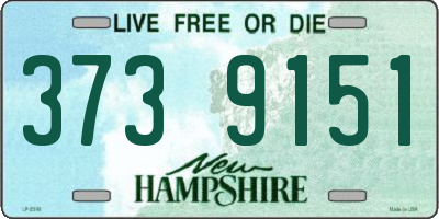 NH license plate 3739151