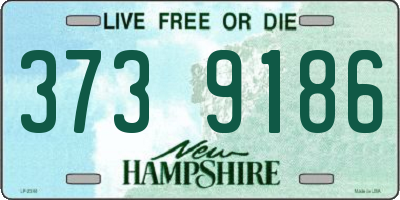 NH license plate 3739186