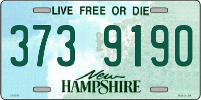 NH license plate 3739190