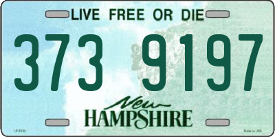 NH license plate 3739197