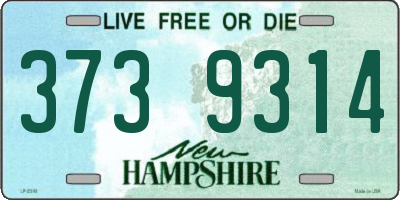 NH license plate 3739314