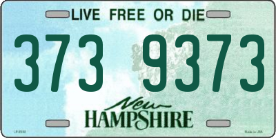 NH license plate 3739373