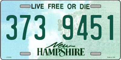NH license plate 3739451