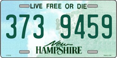 NH license plate 3739459