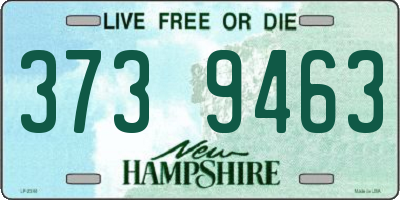 NH license plate 3739463