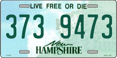 NH license plate 3739473