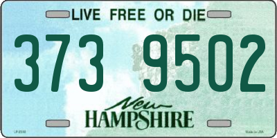 NH license plate 3739502
