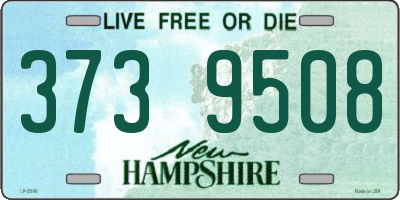 NH license plate 3739508