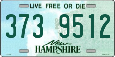 NH license plate 3739512