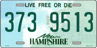 NH license plate 3739513