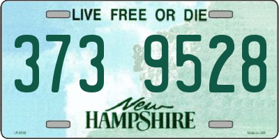 NH license plate 3739528
