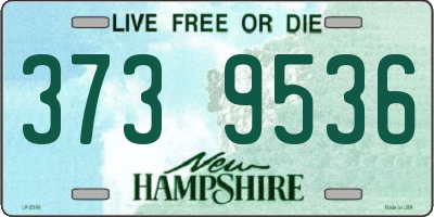 NH license plate 3739536