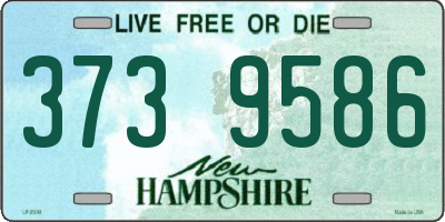 NH license plate 3739586