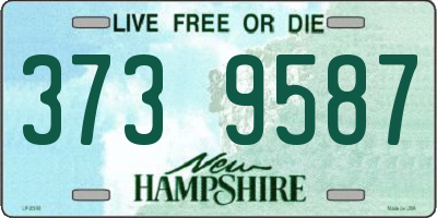 NH license plate 3739587