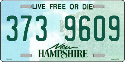 NH license plate 3739609
