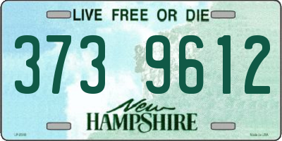 NH license plate 3739612