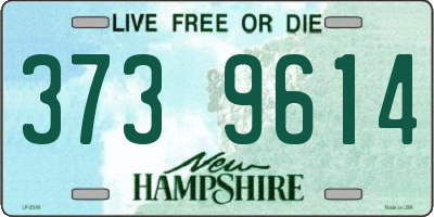 NH license plate 3739614