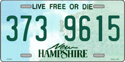 NH license plate 3739615