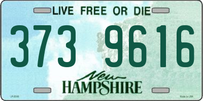 NH license plate 3739616