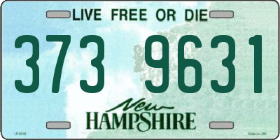 NH license plate 3739631
