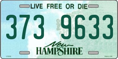 NH license plate 3739633