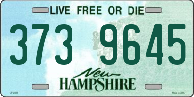 NH license plate 3739645