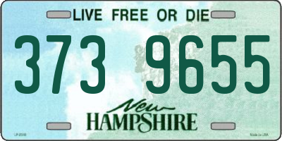 NH license plate 3739655