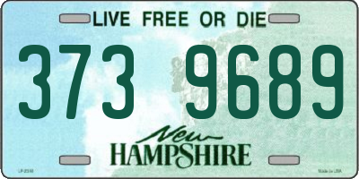 NH license plate 3739689