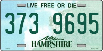 NH license plate 3739695