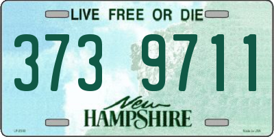 NH license plate 3739711