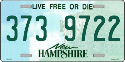 NH license plate 3739722