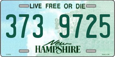 NH license plate 3739725