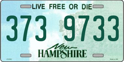 NH license plate 3739733