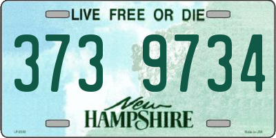 NH license plate 3739734