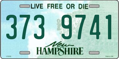 NH license plate 3739741