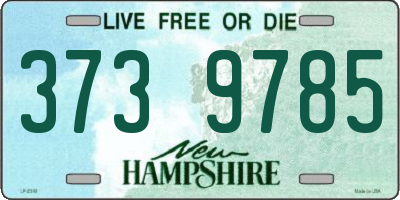 NH license plate 3739785