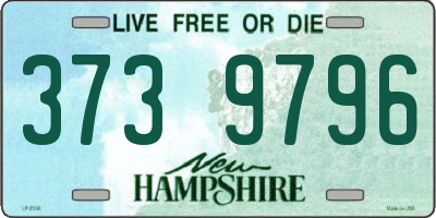 NH license plate 3739796