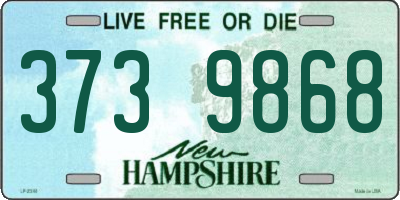 NH license plate 3739868