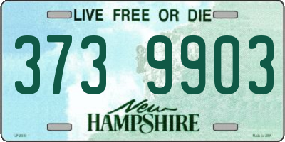 NH license plate 3739903