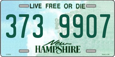 NH license plate 3739907