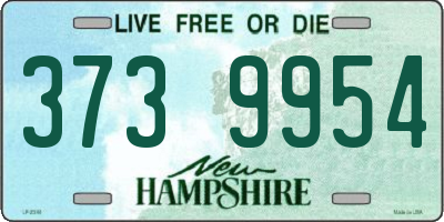 NH license plate 3739954
