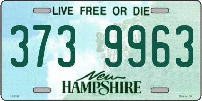 NH license plate 3739963