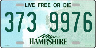 NH license plate 3739976