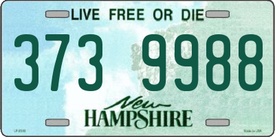 NH license plate 3739988