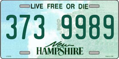 NH license plate 3739989