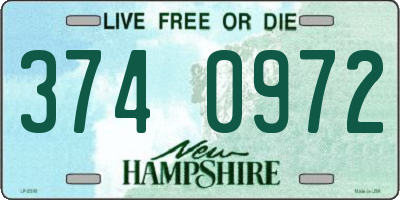 NH license plate 3740972